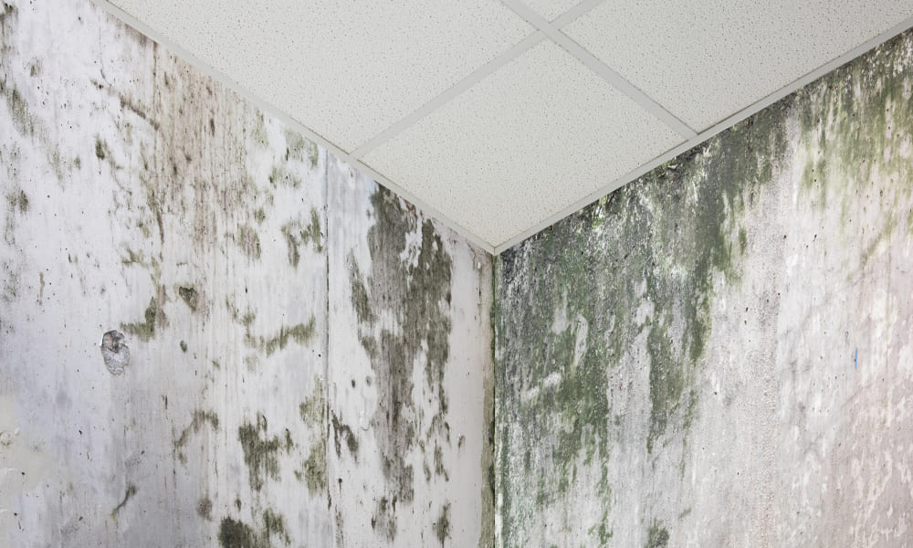 Plumbing Failure and Flooding Restoration Plumbing Failure and Flooding Restoration