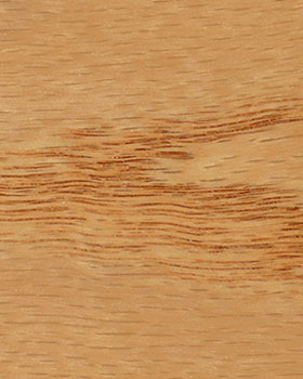 Golden Pecan 245