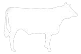 meat size