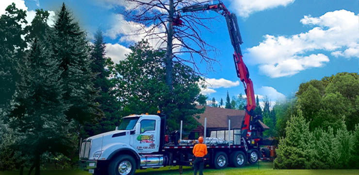Tree Mek Truck Tree Mek Truck
