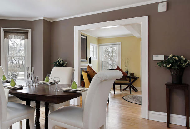 Professional Painting Services
