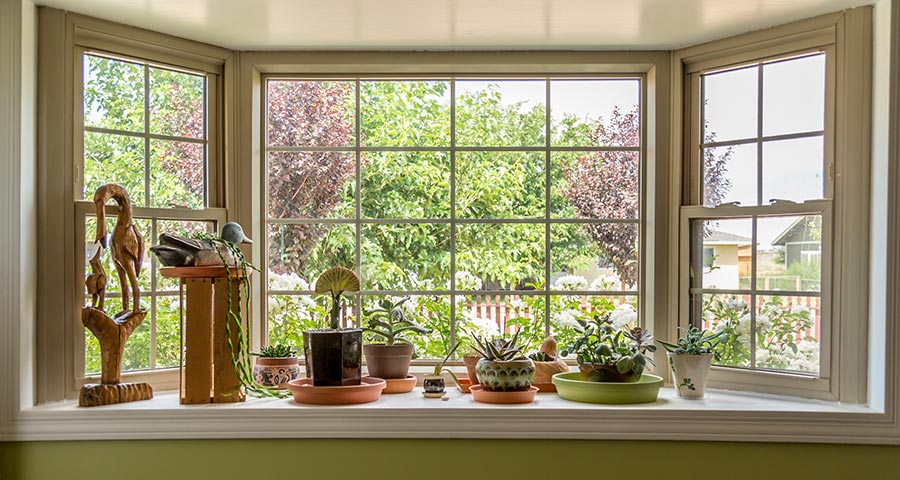 Garden Windows Garden Windows