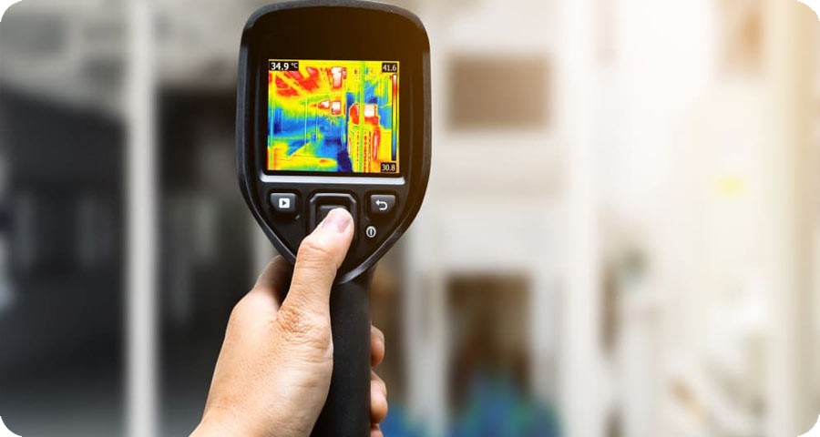 Understanding Mold Growth Understanding Mold Growth