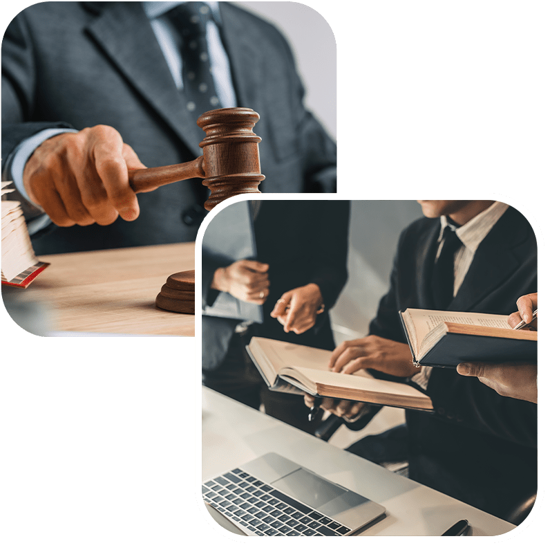 Expert Witness Expert Witness