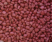 SC-21 Berry Red SC-21 Berry Red
