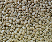 SC-73 Honeycomb SC-73 Honeycomb