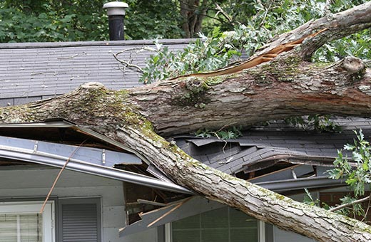 Insurance Claims