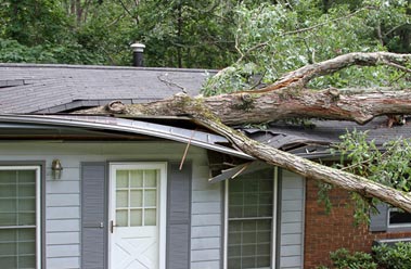 Insurance Claims